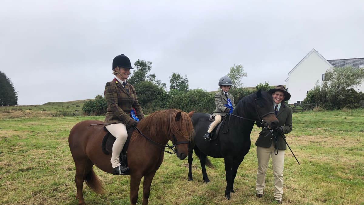 The Dartmoor Moorland Pony Show is back middevonadvertiser.co.uk